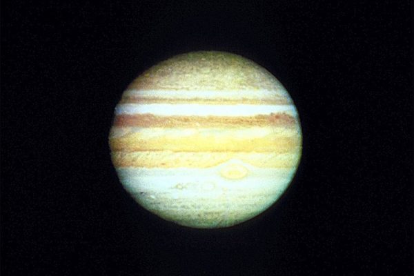 Resized Image